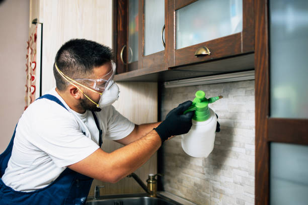 Best Local Pest Control Services  in Wixom, MI