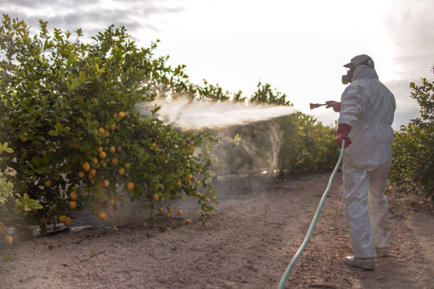 Best Affordable Pest Control Services  in Wixom, MI