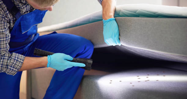 Best Residential Pest Control  in Wixom, MI