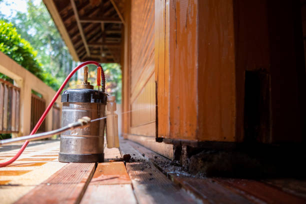 Best Affordable Pest Control Services  in Wixom, MI