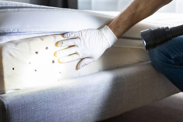 Best Pest Prevention Services  in Wixom, MI