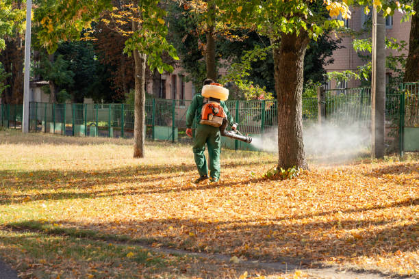 Best Emergency Pest Control  in Wixom, MI