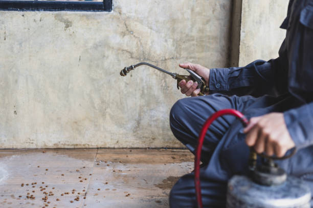Professional Pest Control in Wixom, MI
