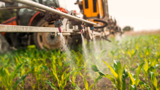 Best Mosquito Control Services  in Wixom, MI