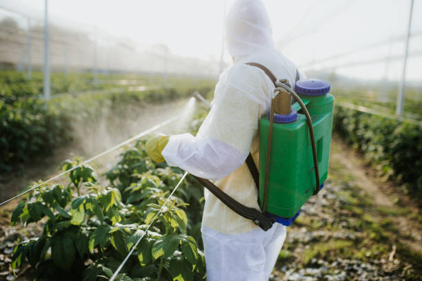Best Best Pest Control Companies  in Wixom, MI